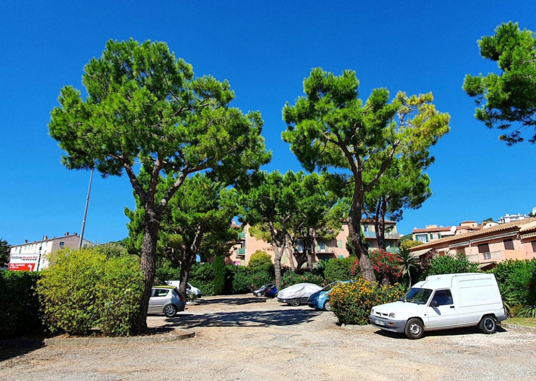 ואלאוריס Cosy, Wi-Fi, Jardin & Parking, Jasmins Studio En Cote-D'Azur מראה חיצוני תמונה